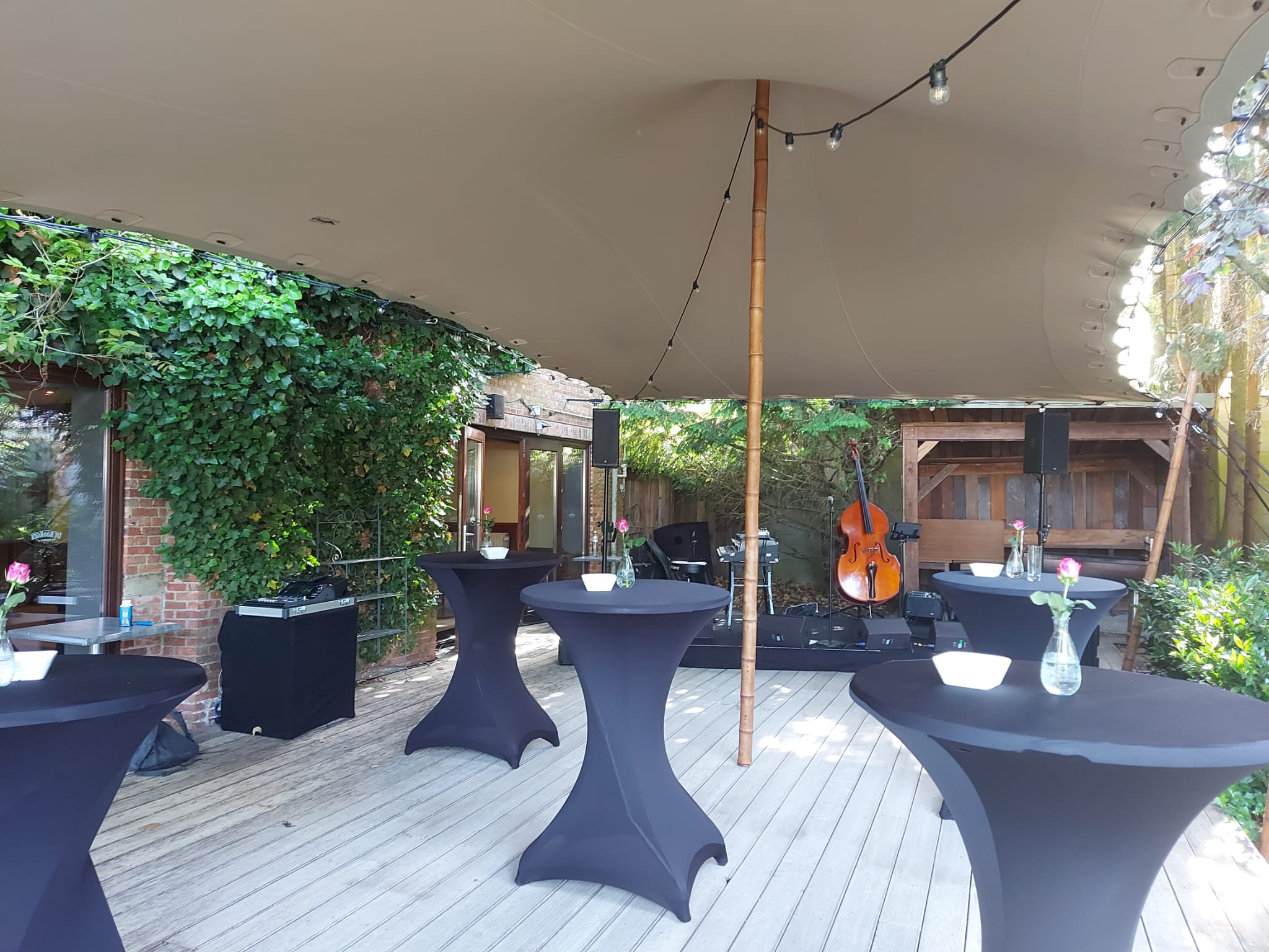terras 1